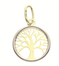 Pendentif en or 375‰
